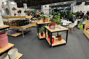 Mercato Garden: risultati 2024 e prospettive per il 2025