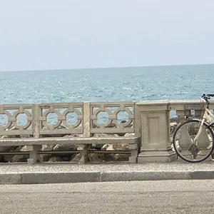 I freni e le grandi possibilità del mercato italiano della bici