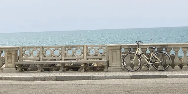 I freni e le grandi possibilità del mercato italiano della bici