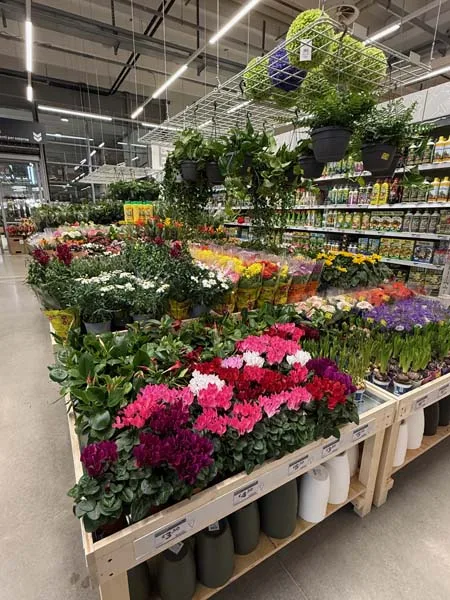 Bricocenter a Vercelli