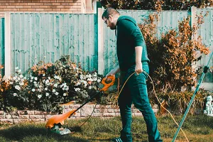 Raddoppiano le ricerche online per giardinaggio e fai-da-te