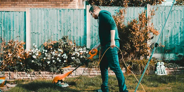 Raddoppiano le ricerche online per giardinaggio e fai-da-te
