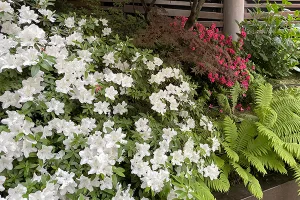 Nuovo look agli spazi esterni della tua casa, idee e consigli pratici