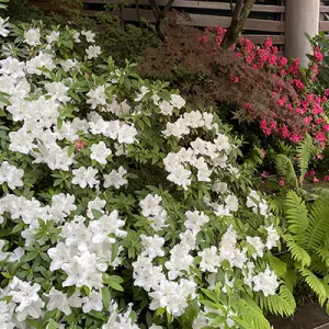 Nuovo look agli spazi esterni della tua casa, idee e consigli pratici