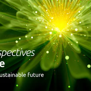 Giovani e cambiamento climatico: competenze green ancora insufficienti