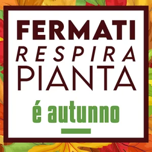 Torna il Garden Festival d’Autunno di AICG