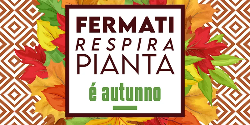 AICG-Festival-Autunno-2025