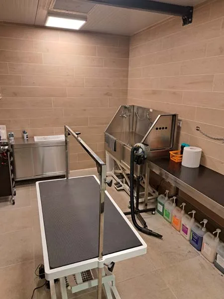 Viridea Cusago, lo spazio toelettatura cani