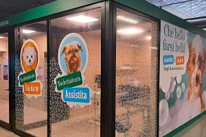 Viridea di Cusago, nuovo servizio di toelettatura per cani