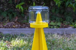 Cymatrap Garden, una trappola per la cattura della cimice asiatica