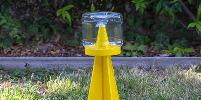 Cymatrap Garden, una trappola per la cattura della cimice asiatica