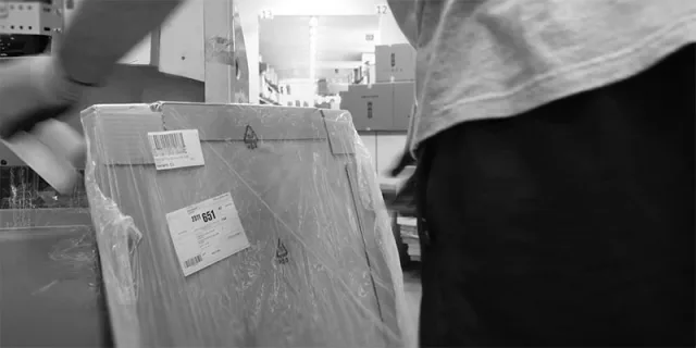 Dal parquet al caffè: l’EUDR ridisegna le filiere