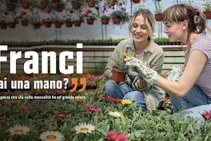 A OBI San Giuliano il primo workshop dedicato al garden