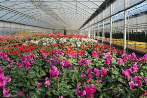 Floricoltura Pironi festeggia 50 anni