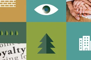 4BILD, il primo Bilancio di Sostenibilità