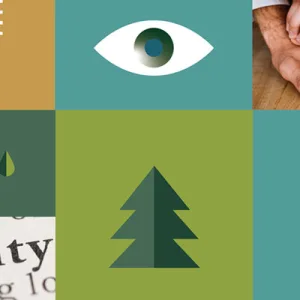 4BILD, il primo Bilancio di Sostenibilità