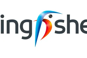 Kingfisher chiude il terzo trimestre con vendite in crescita