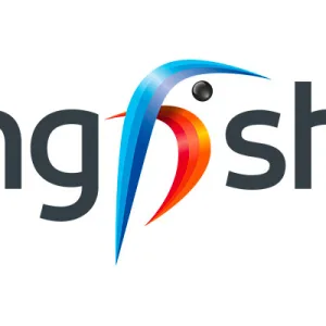 Kingfisher chiude il terzo trimestre con vendite in crescita
