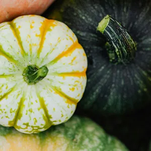 Lavori di novembre in giardino e nell’orto: come prepararsi all’inverno