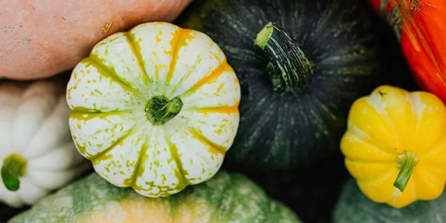 Lavori di novembre in giardino e nell’orto: come prepararsi all’inverno