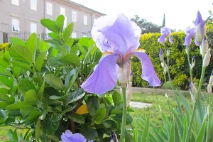 Il calendario del giardino: lavori stagionali e manutenzione del prato
