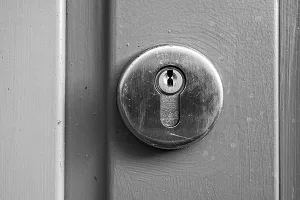 Sicurezza domestica: a inizio anno boom di richieste