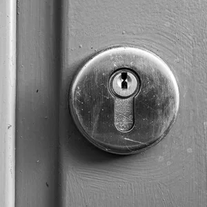 Sicurezza domestica: a inizio anno boom di richieste