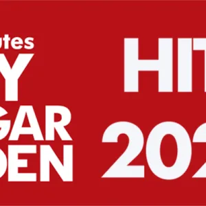 TEN-diyandgarden, gli articoli più letti nel 2025