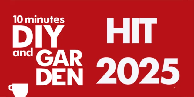 TEN-diyandgarden, gli articoli più letti nel 2025