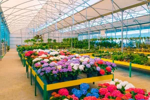 Mediterraneo Garden Center, strategie di fidelizzazione multicanale