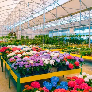 Mediterraneo Garden Center, strategie di fidelizzazione multicanale