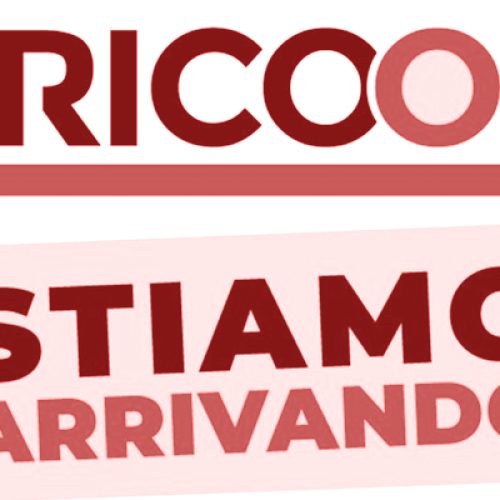 Brico Ok, aperture a pieno ritmo e ricerca personale
